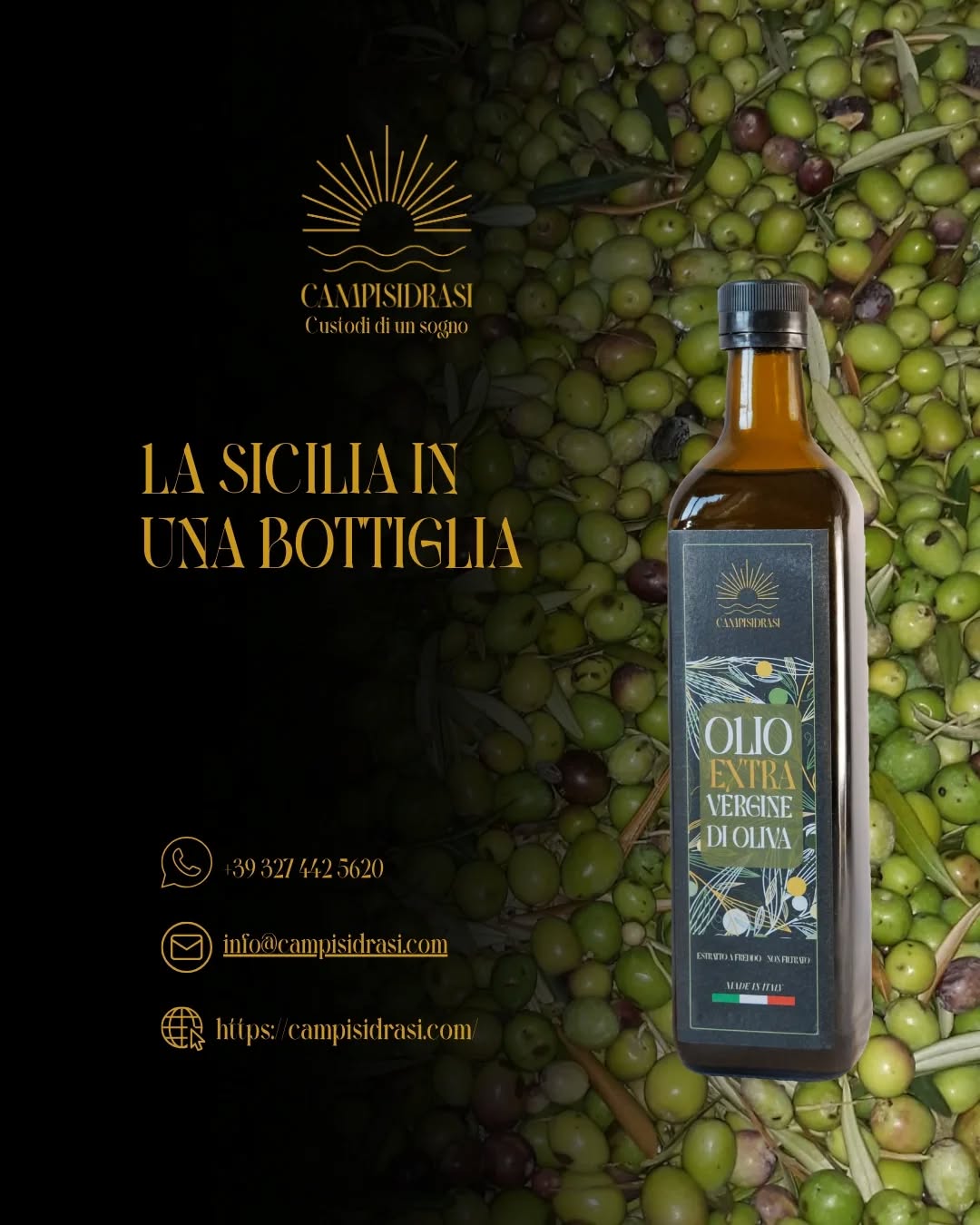 OLIO EXTRAVERGINE DI OLIVA SICILIA