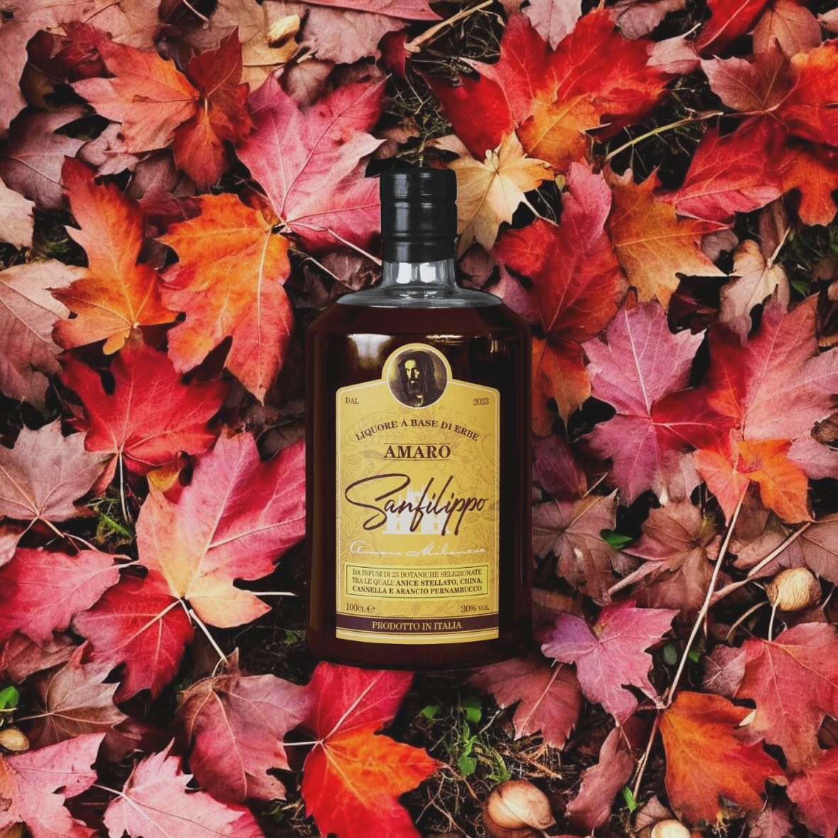Amaro San Filippo 100 cl