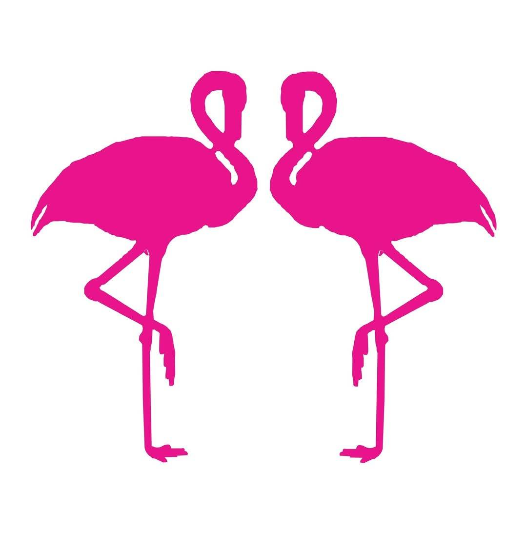 Playa El Flamingo