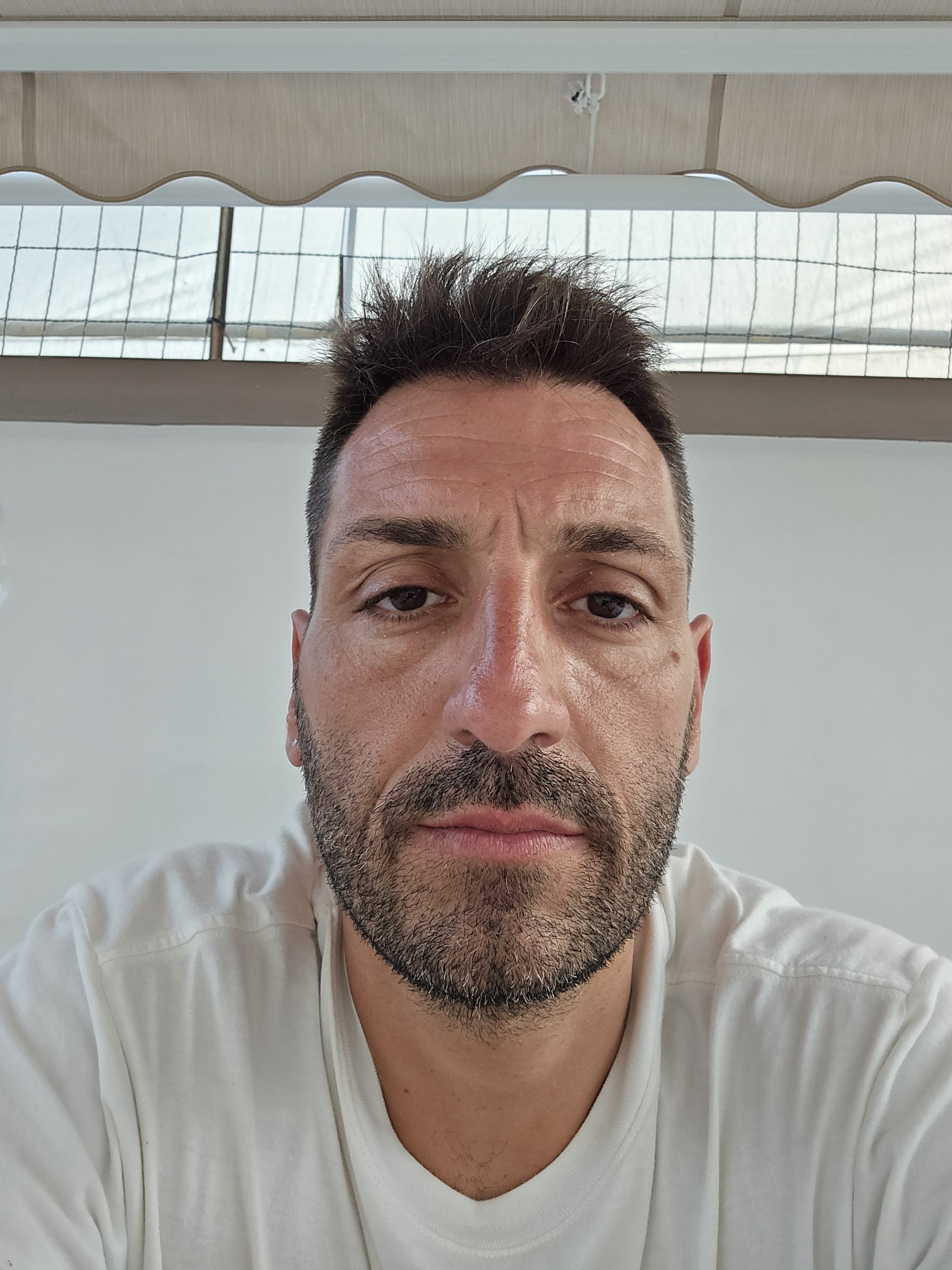 RAFFAELE